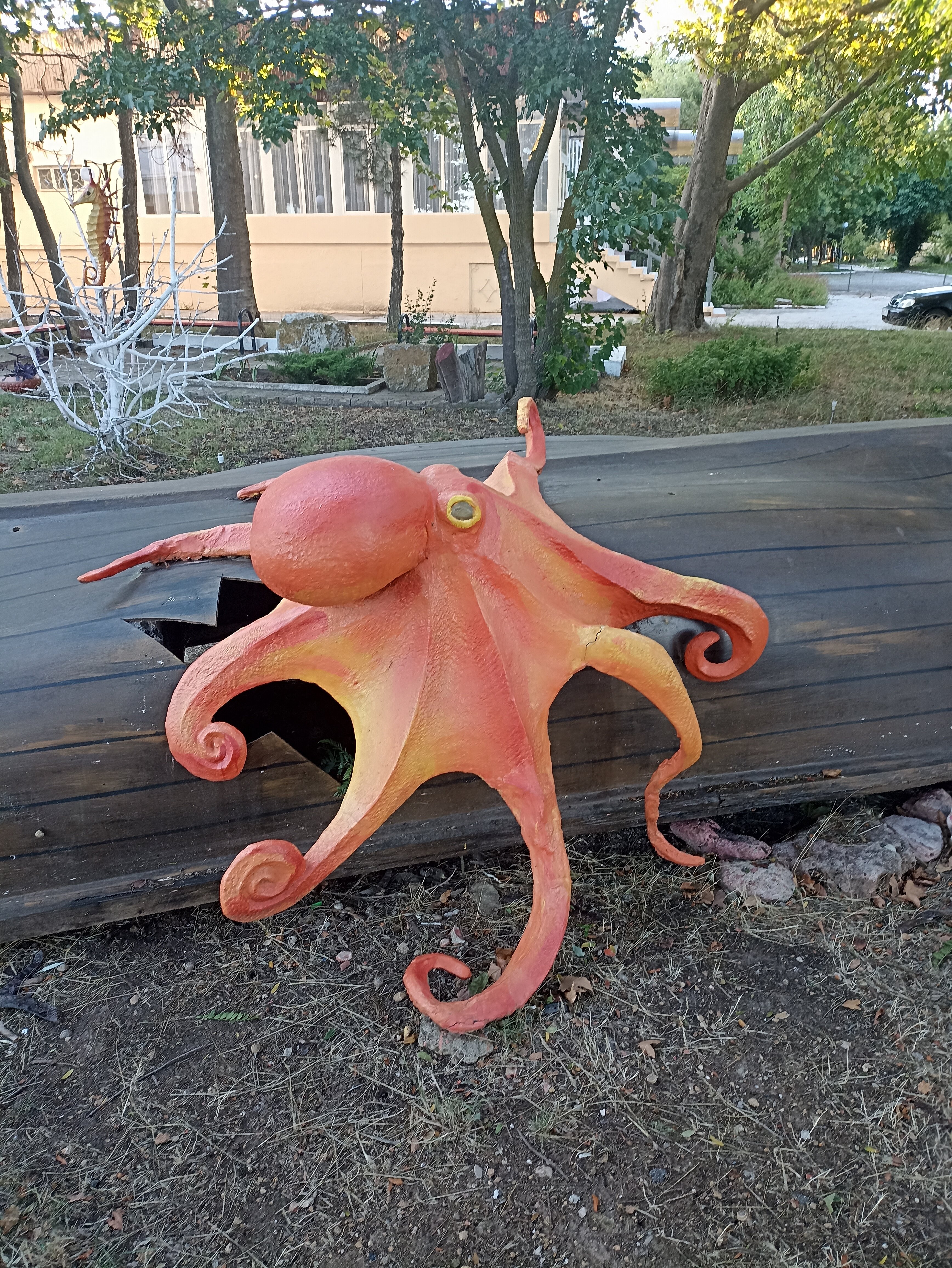 Фото Дружба