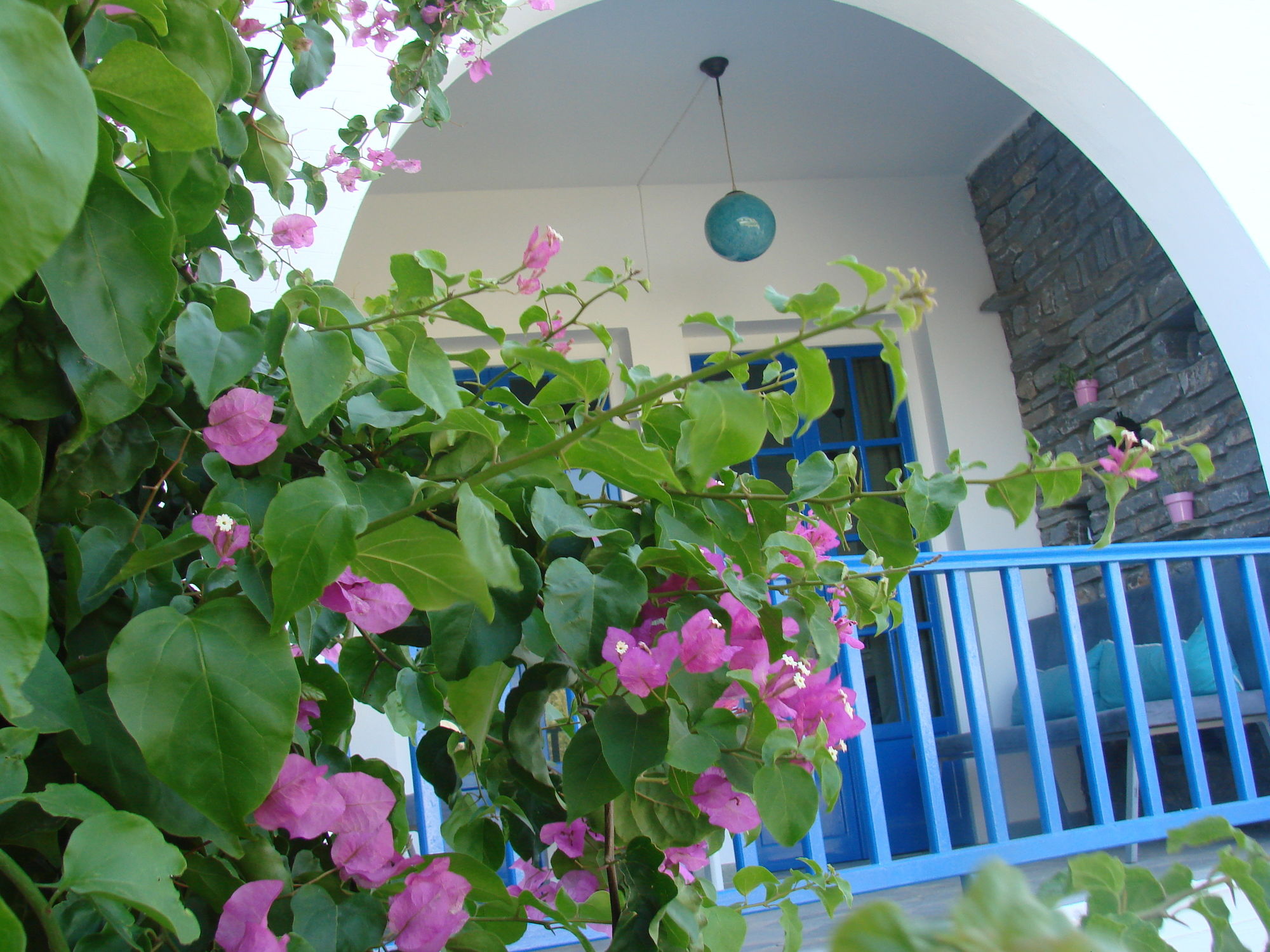 Фото Evi Evan Hotel