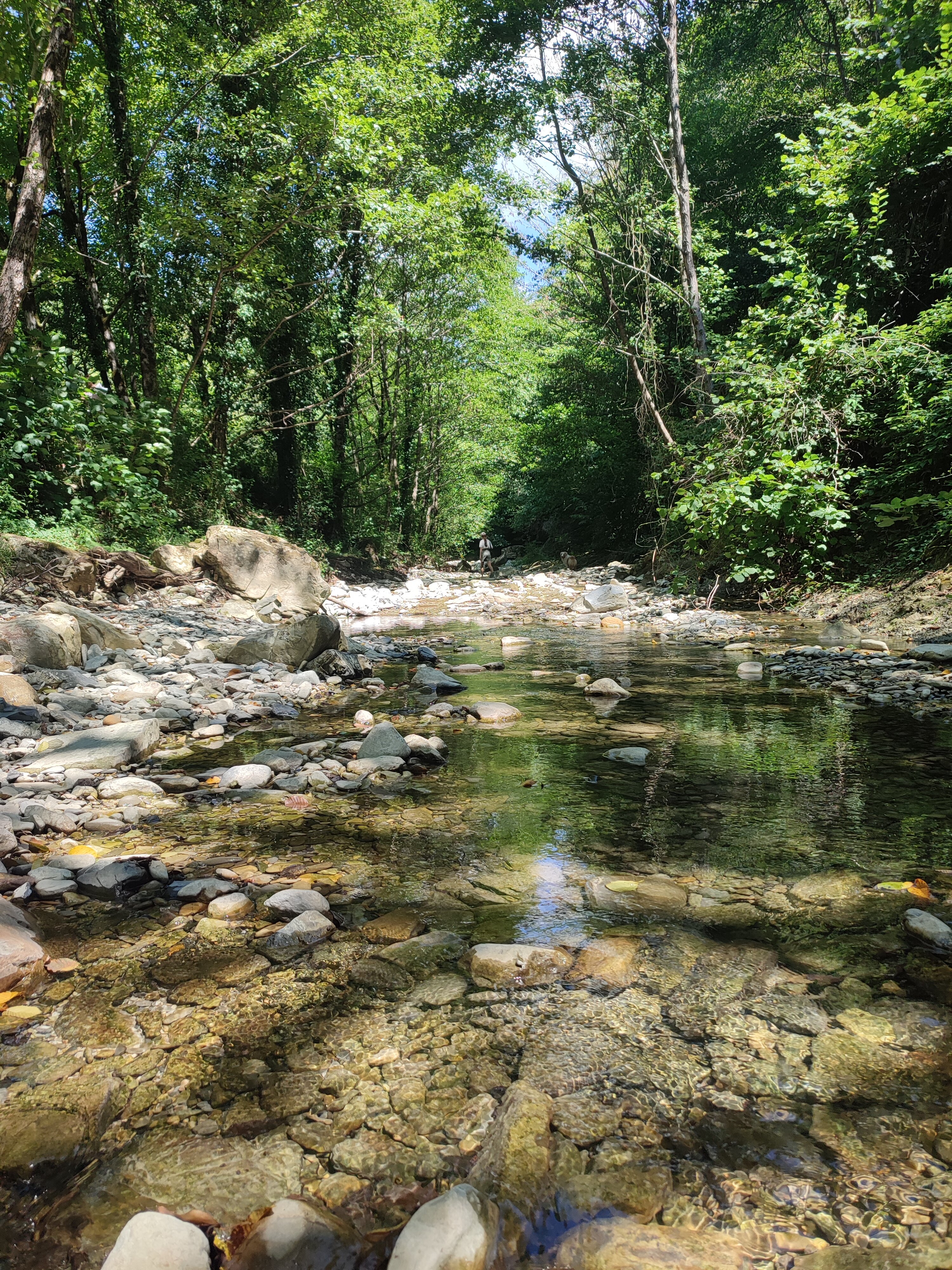 Фото Сад чудес