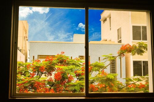 Гостиница Serene Boutique Hotel в Бангалоре