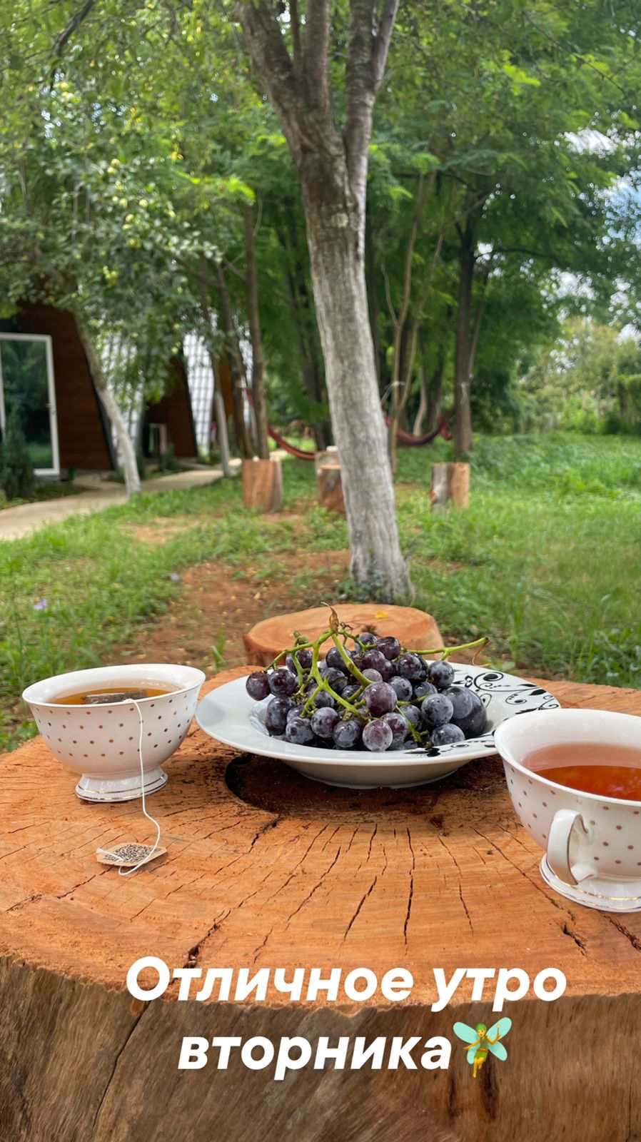 Фото Эко-коттеджи DiAlex