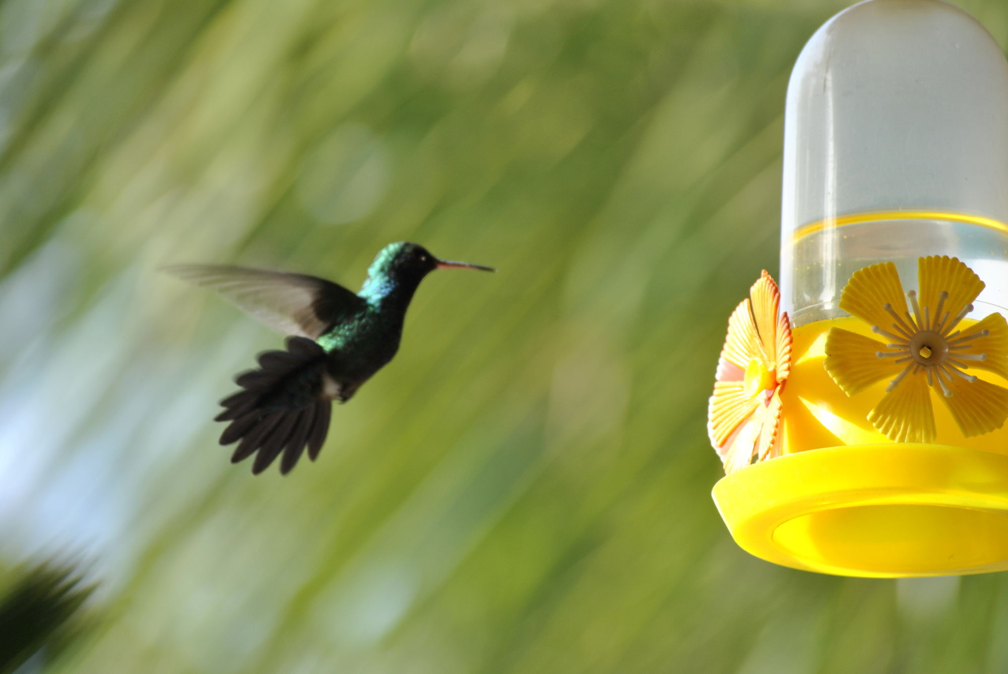 Фото Pousada Xama