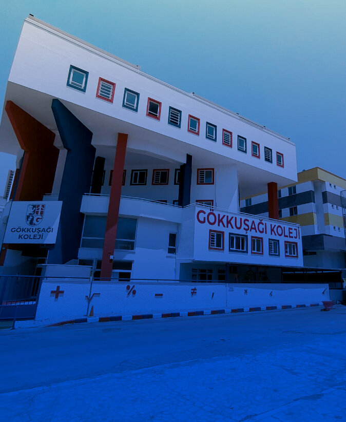 مدرسة خاصة Private Gokkushagi School ، اسطنبول، صورة