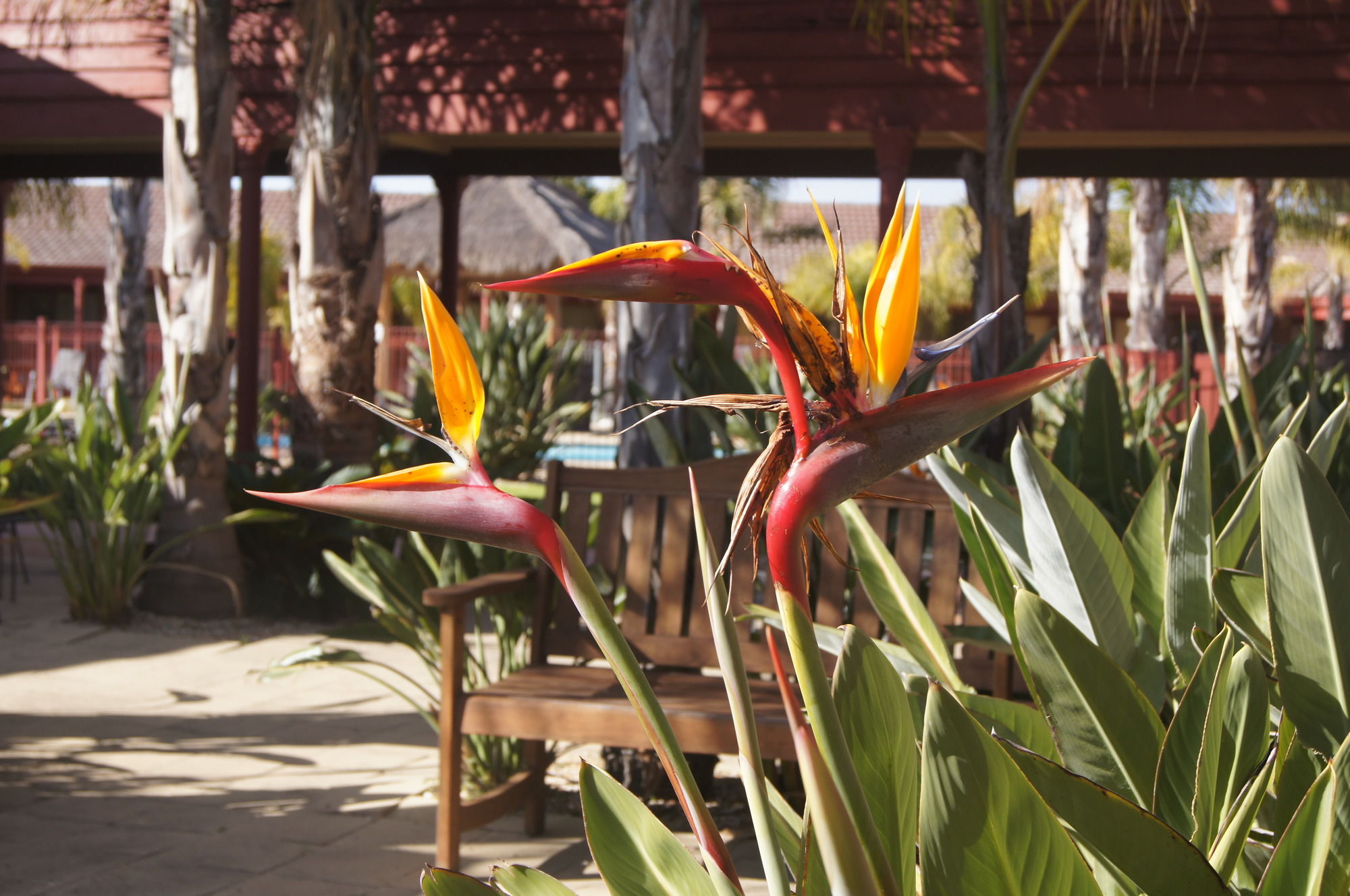 Фото Quality Hotel Lakeside