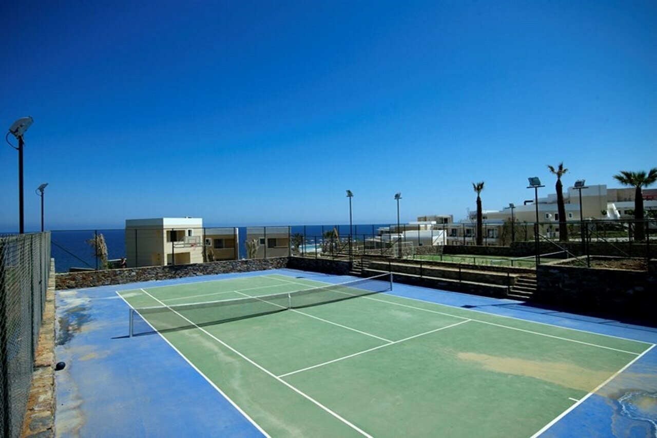 Фото The Royal Blue