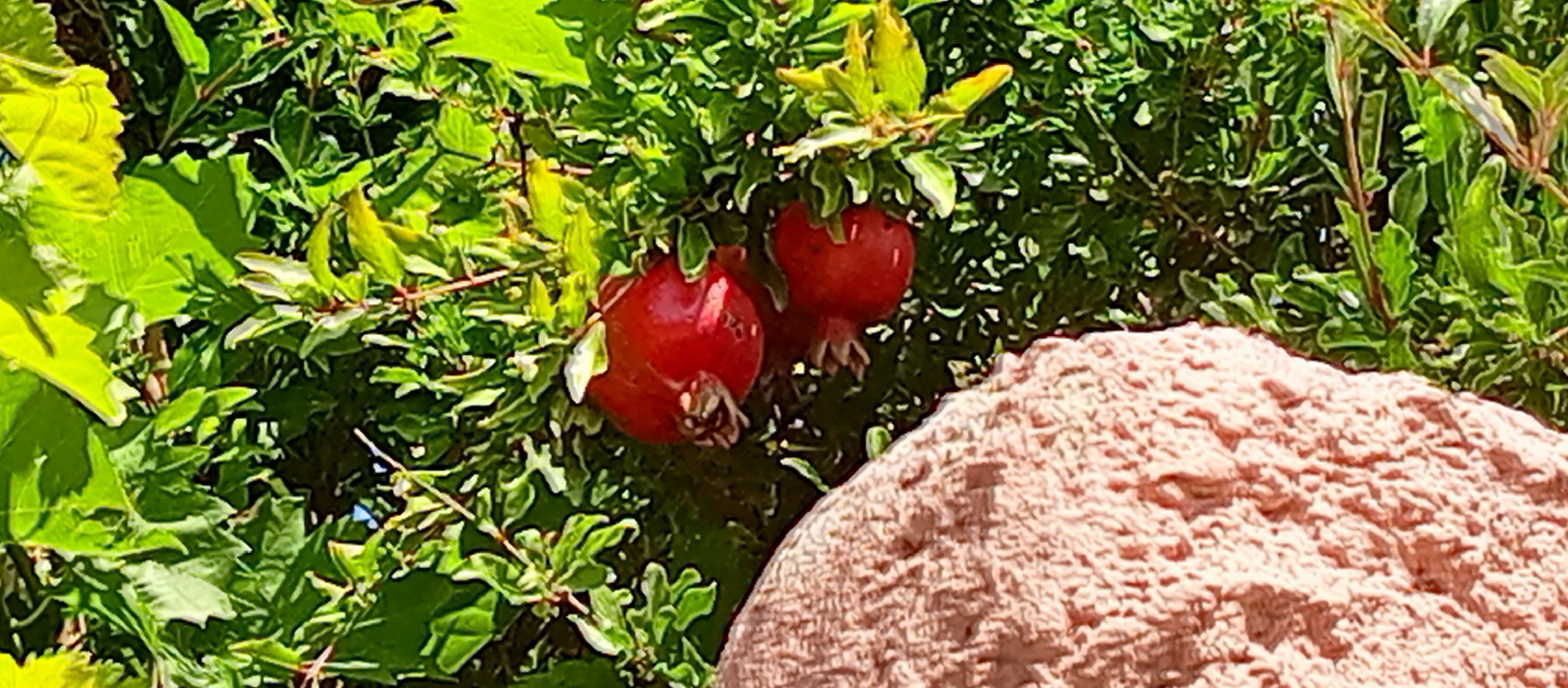 Фото Villa White