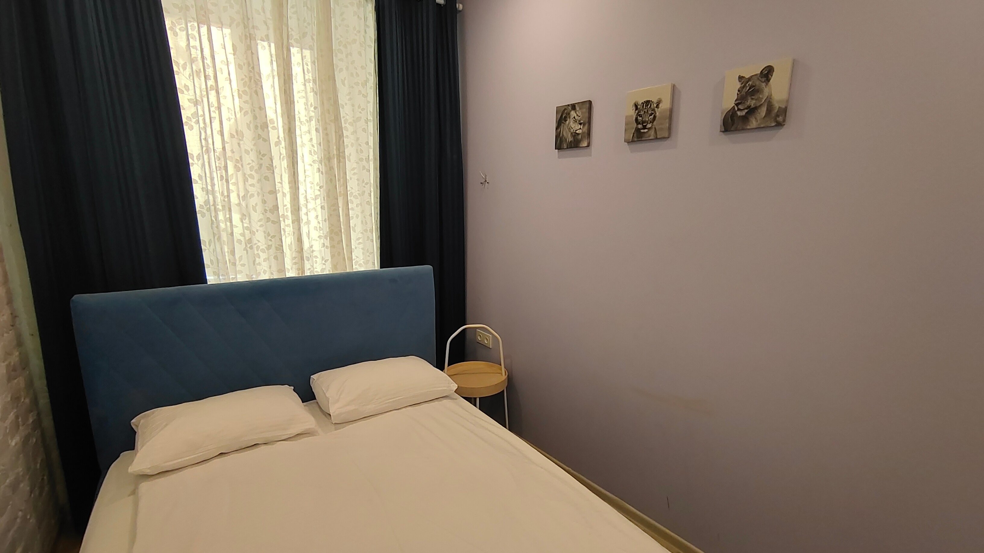 Фото Гостиные апартаменты на улице Большая Посадская