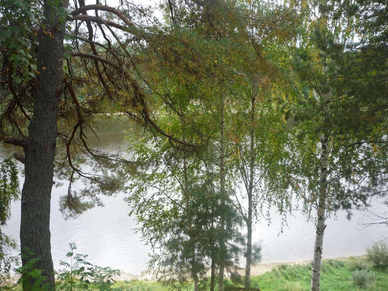 Фото Жемчужина Сухоны