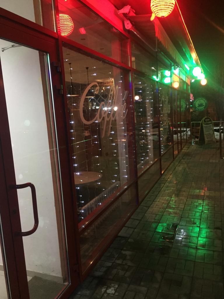 Фото Камелия-В