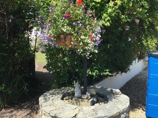 Фото The White Cottage B&b