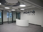 Forte Group (Čyhunačnaja vulica, 33), software companies