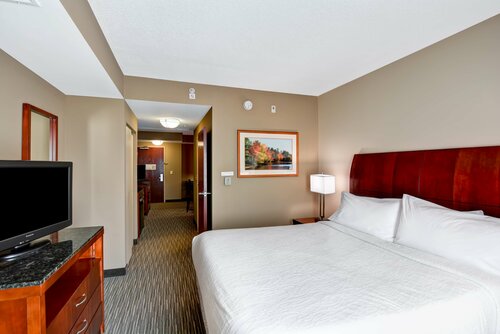 Гостиница Hilton Garden Inn Tampa Northwest/Oldsmar