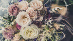 Missis Rose (ulitsa Aeroport, 56), flower shop