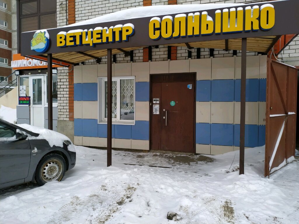 Courses and master classes Nekommercheskoye partnerstvo Povolzhskoye Veterinarnoye Obshchestvo, Kazan, photo