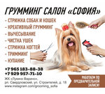 Sofia (rabochiy posyolok Sverdlovskiy, Zarechnaya ulitsa, 3) ، صالون حيوانات أليفة