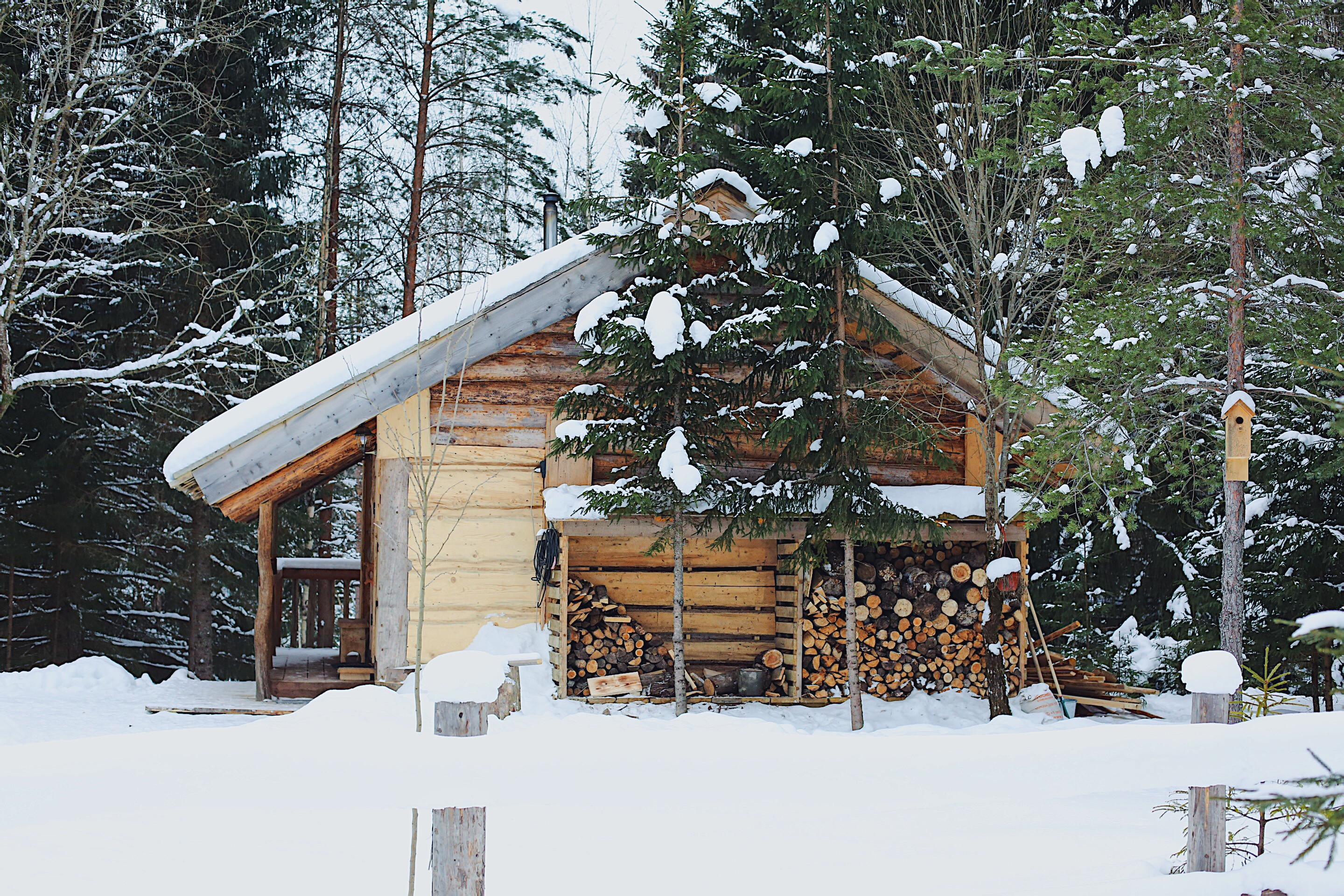 Фото Мазаная Горка