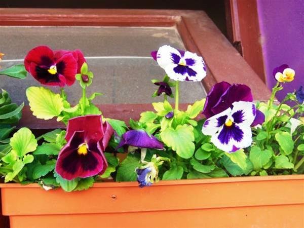 Фото Estacion Mendoza Hostel