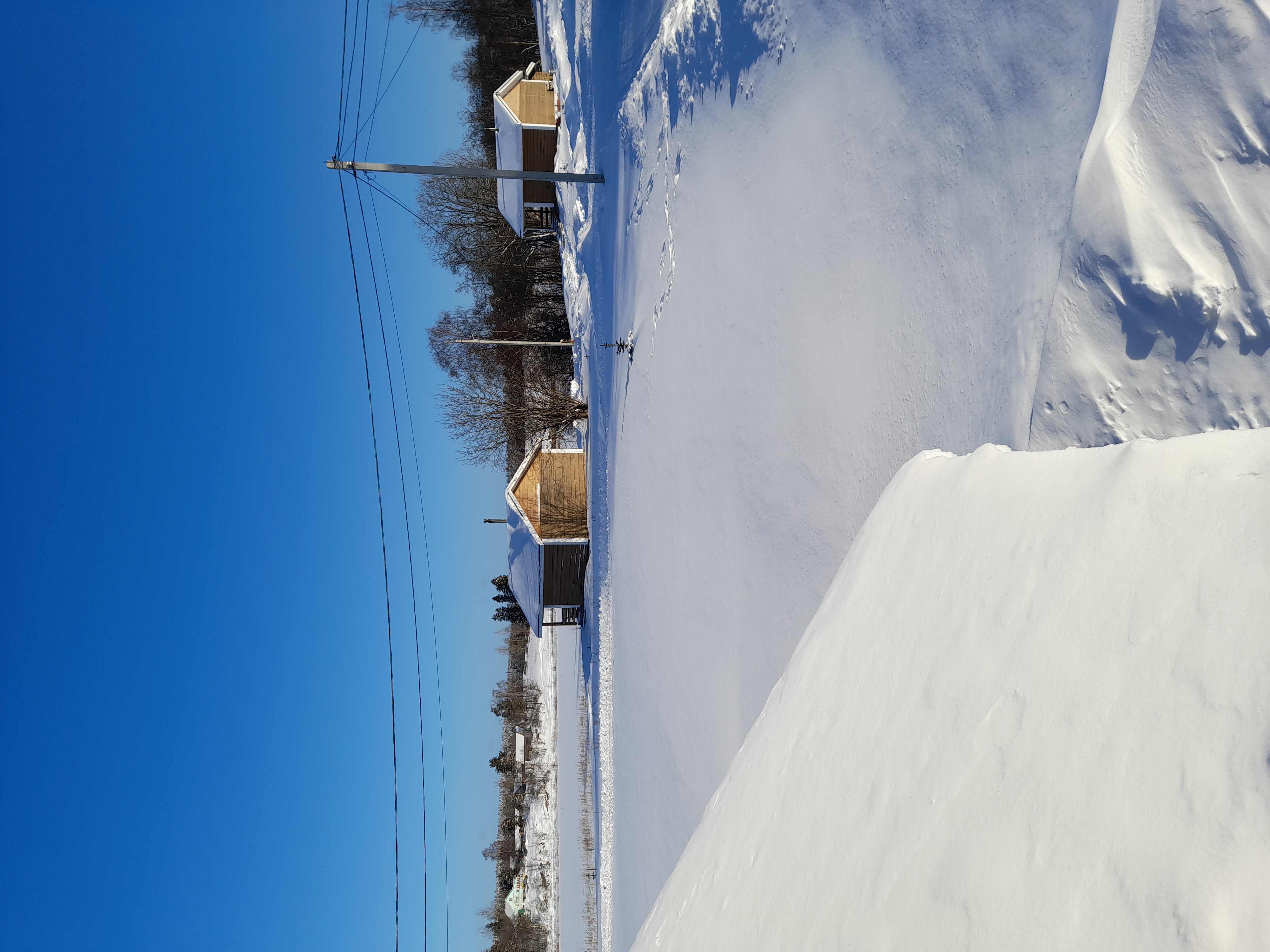 Фото Фазенда Глухомань