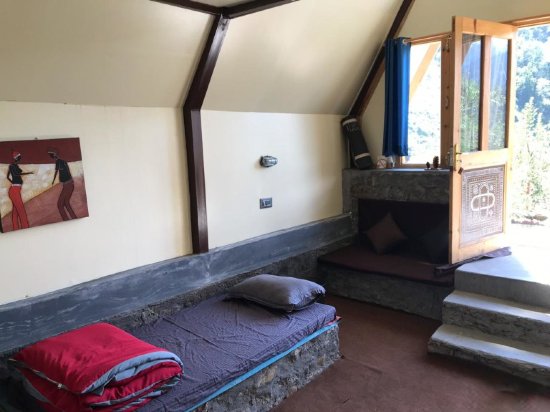 Фото Stonedage Tosh