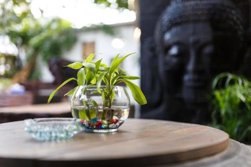 Фото Hotel Villa Josephine