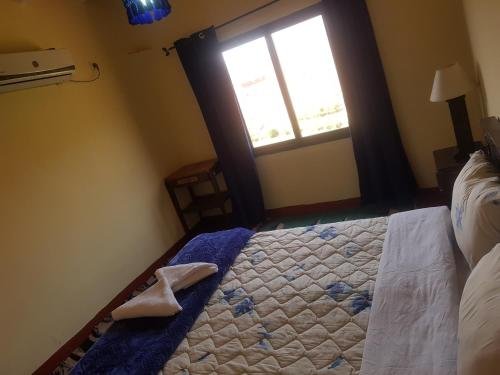 Фото Maison Tizi