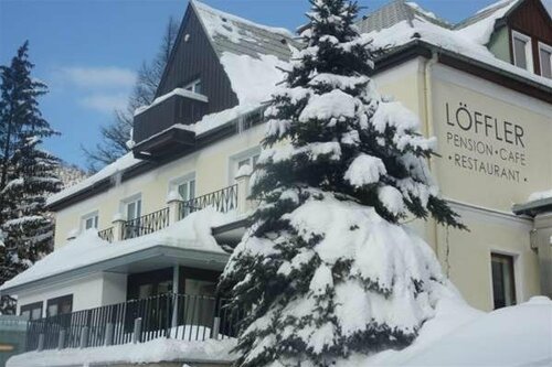 Гостиница Pension Café Restaurant Löffler в Нижней Австрии