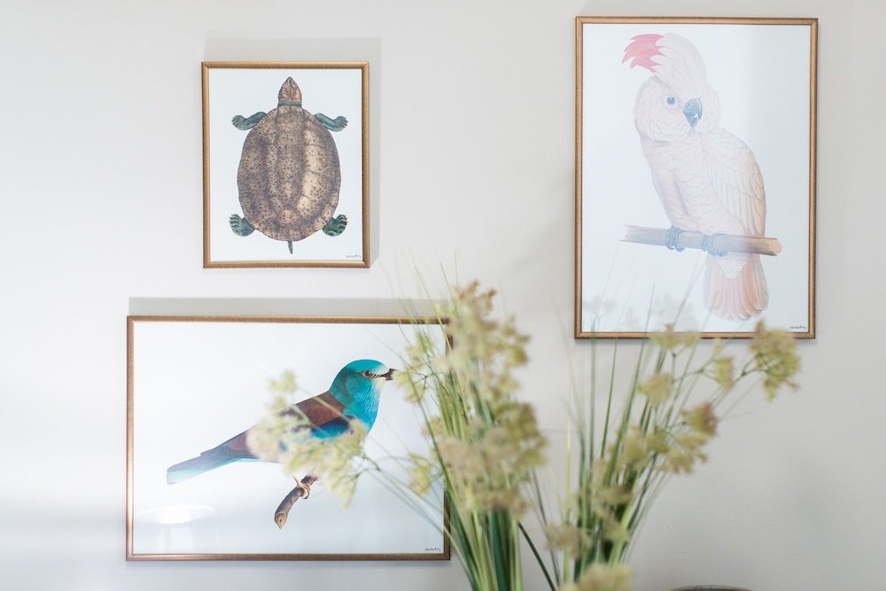 Фото Canto degli Scali