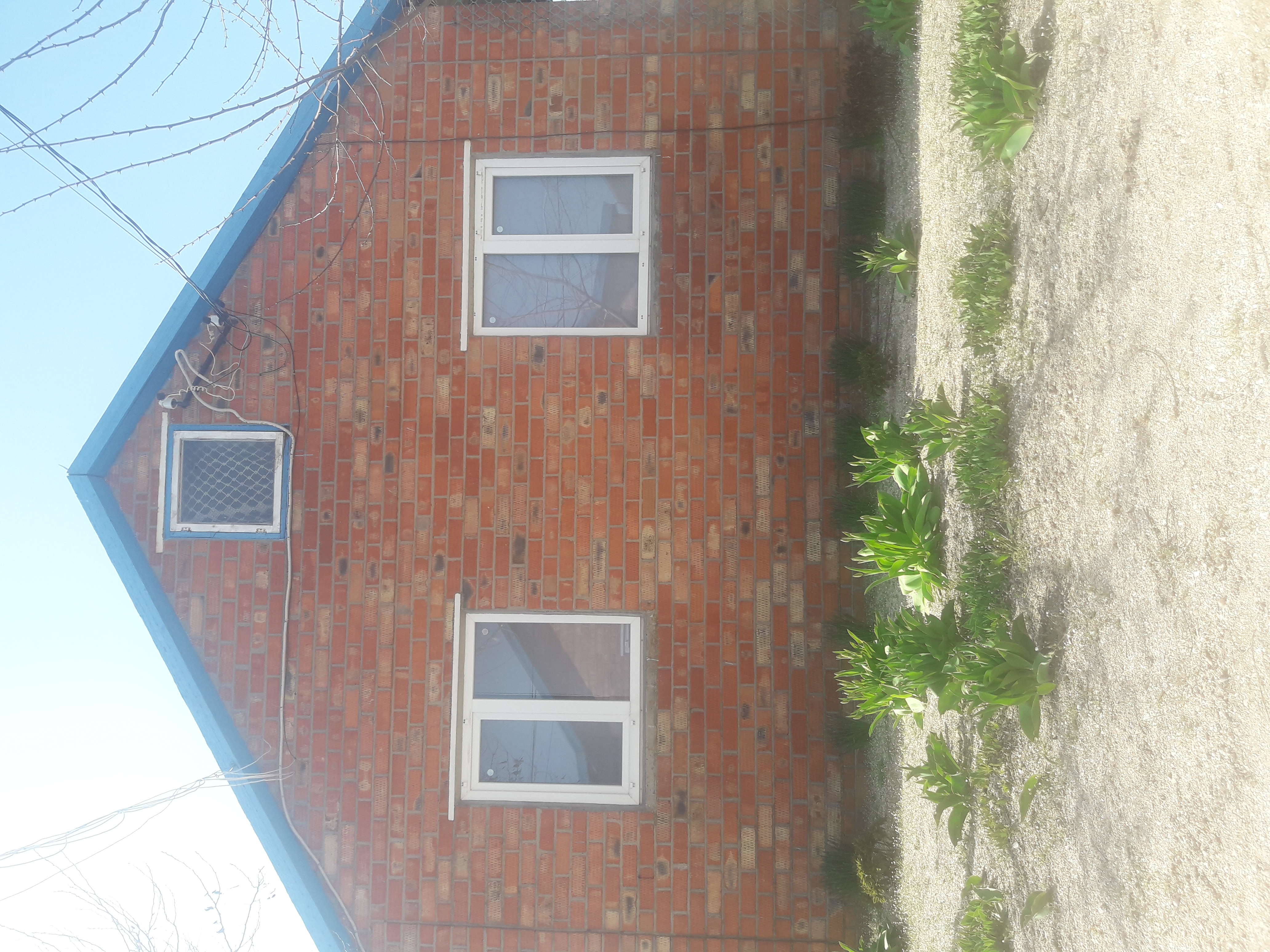 Фото Родной берег