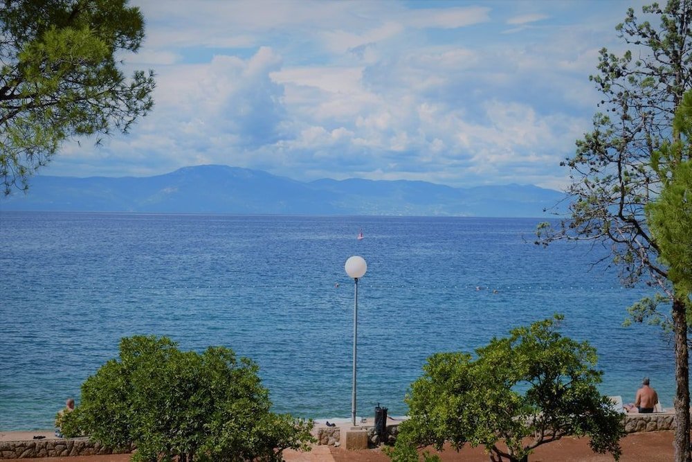 Фото Apartment Tulip