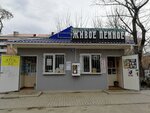 Арго (Astakhovskiy pereulok, 97А), health products