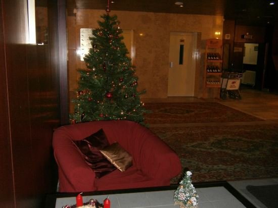 Фото Hotel Merkur