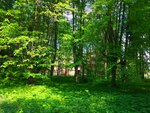 Ленинградский НИИ сельского хозяйства (derevnya Belogorka, Institutskaya ulitsa, 1) ، معاهد البحوث