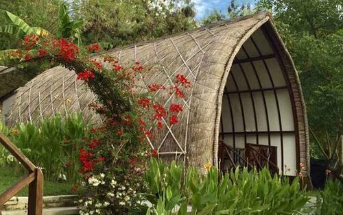 Гостиница The Papalagi Resort