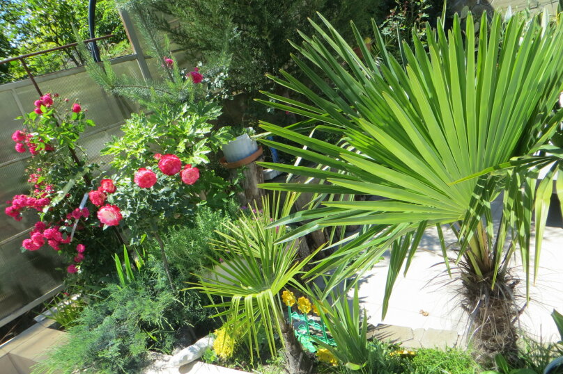 Фото Фортуна