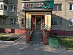 Altfarm (Antona Petrova Street, 170), farmacia
