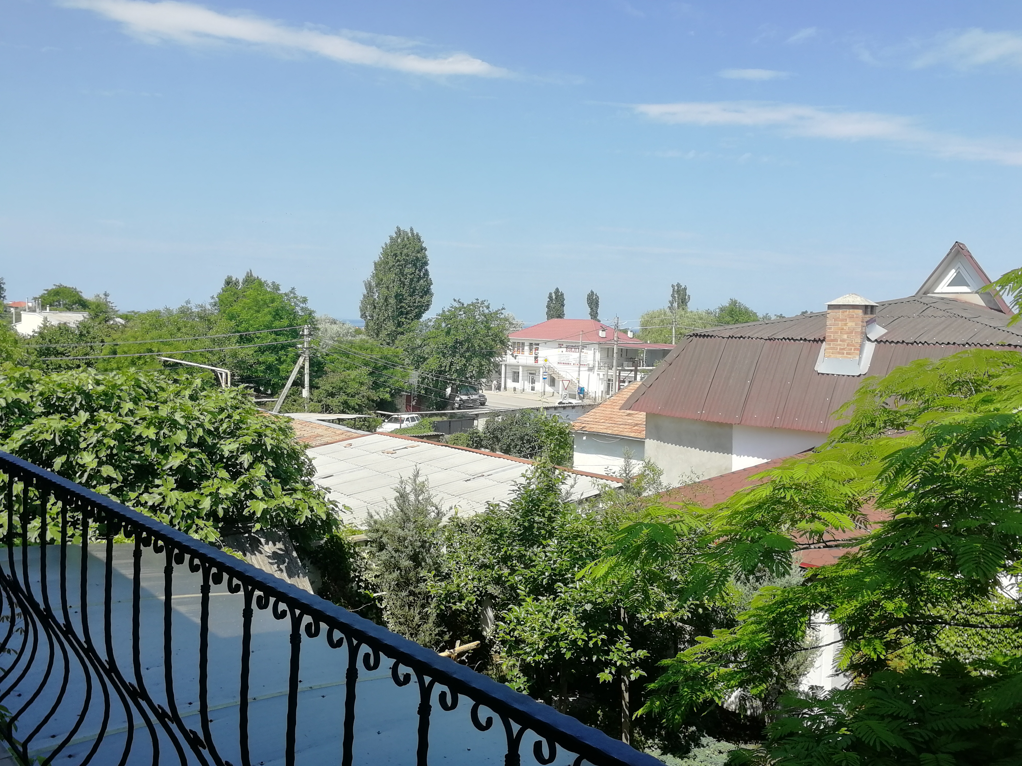 Фото У Старого Абрикоса