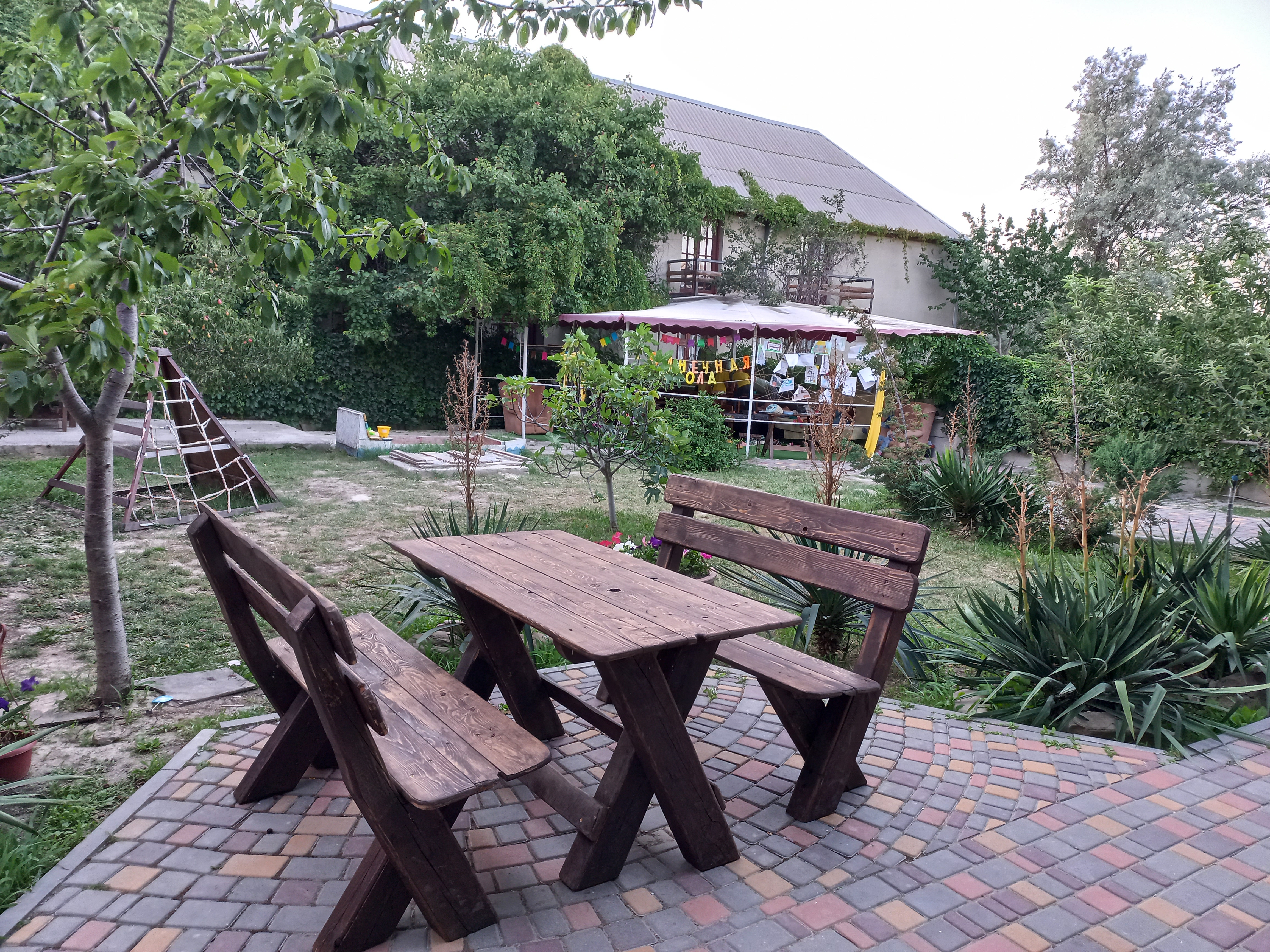 Фото Фламинго