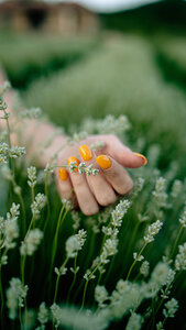 Special Place (Anapa, ulitsa Tolstogo, 130к2), beauty salon