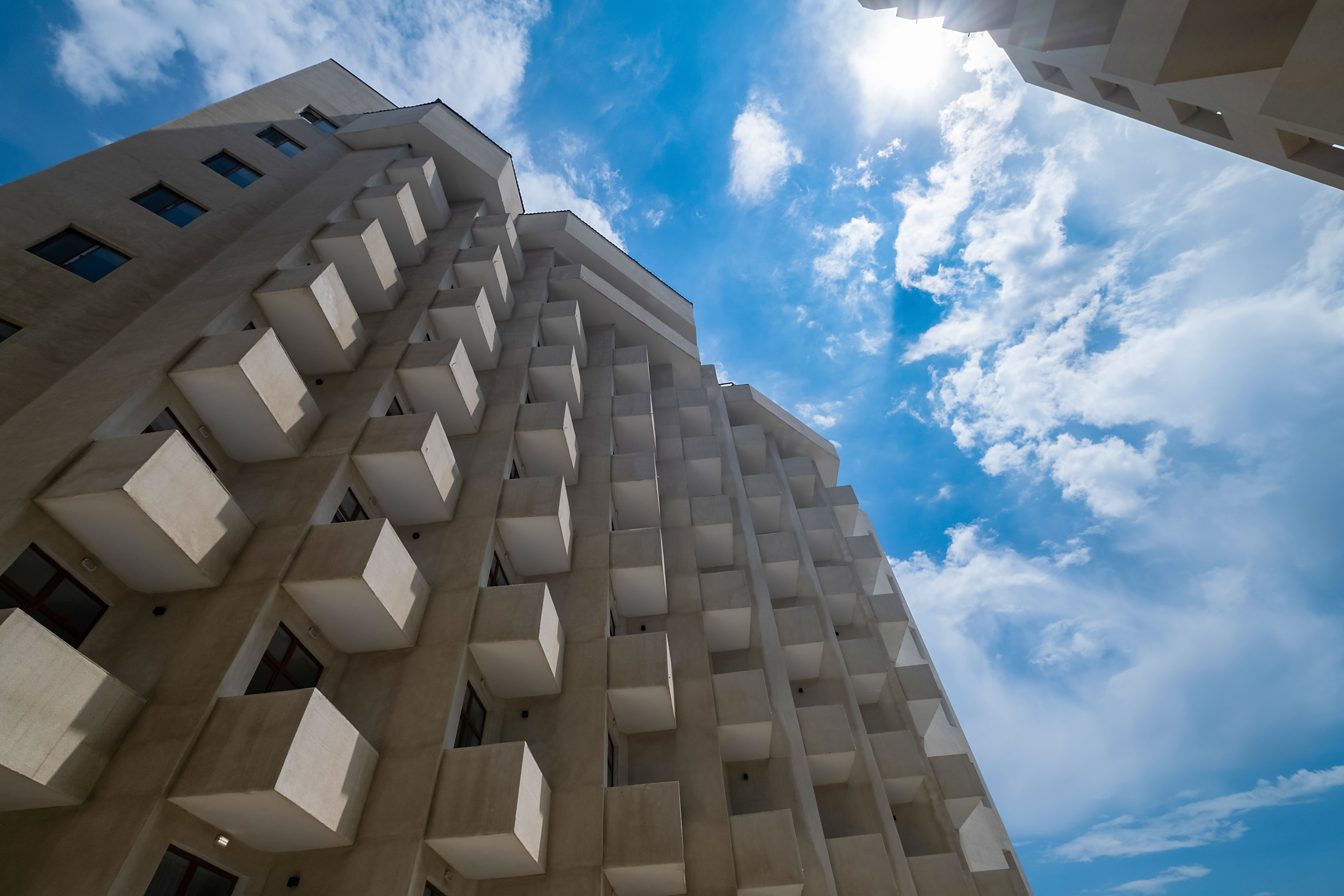 Фото Династия