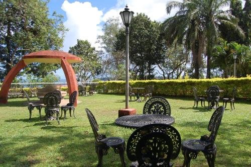 Фото Megapode Nest