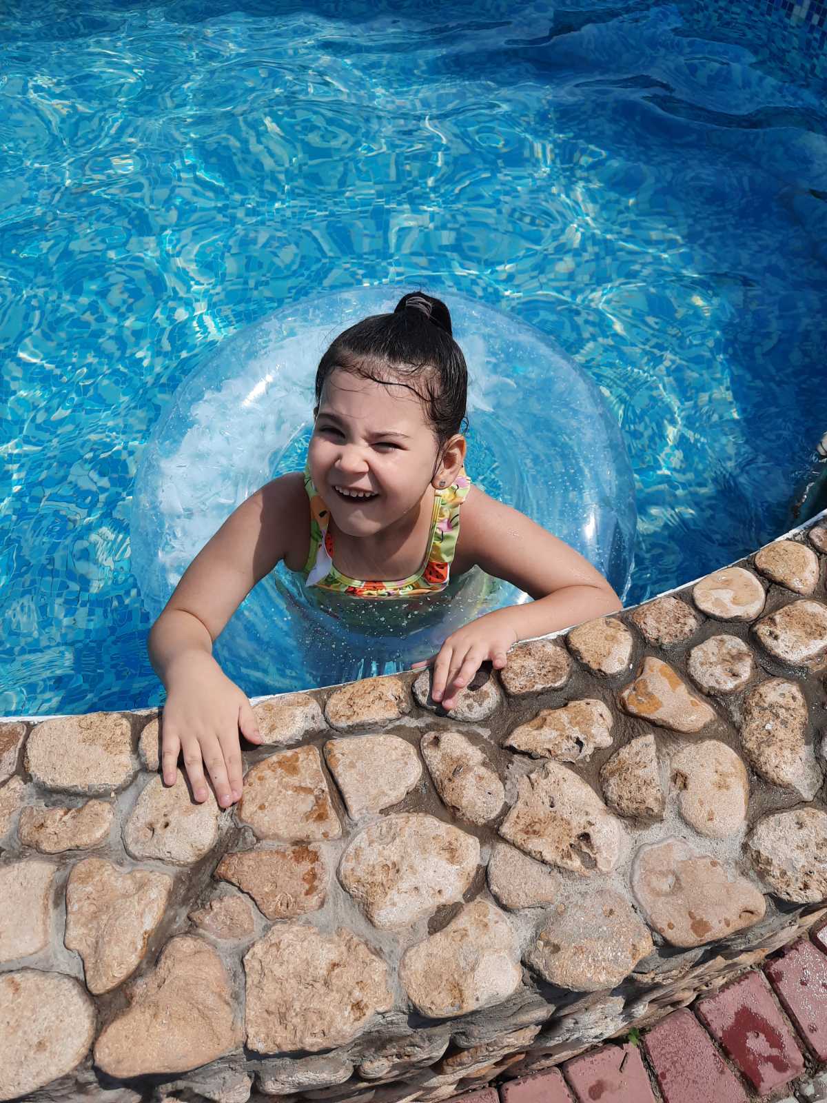 Фото Альбатрос