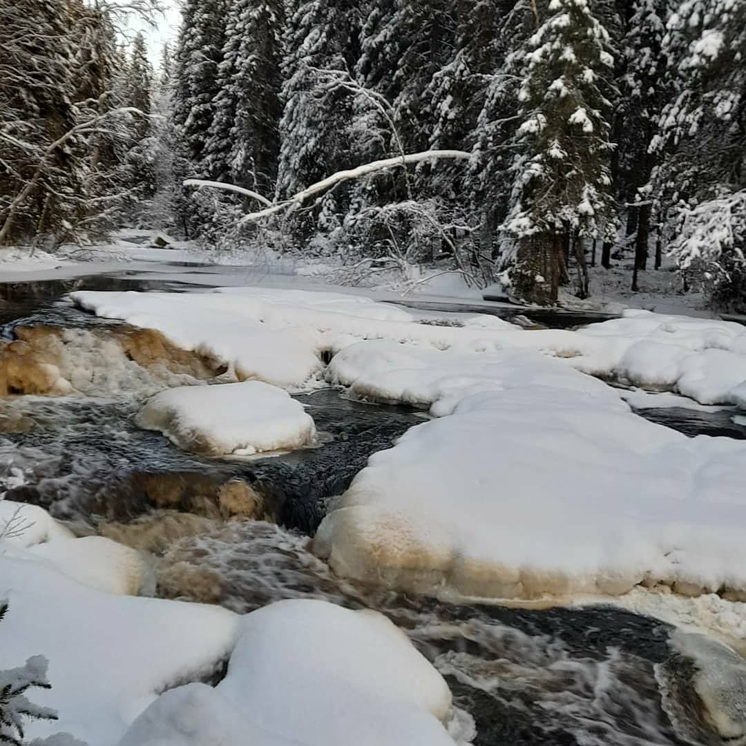 Фото Коттедж на Ладоге