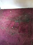 Servpro of Glen Burnie (United States, Hanover, 7468 Candlewood Rd, Ste I), carpet cleaning