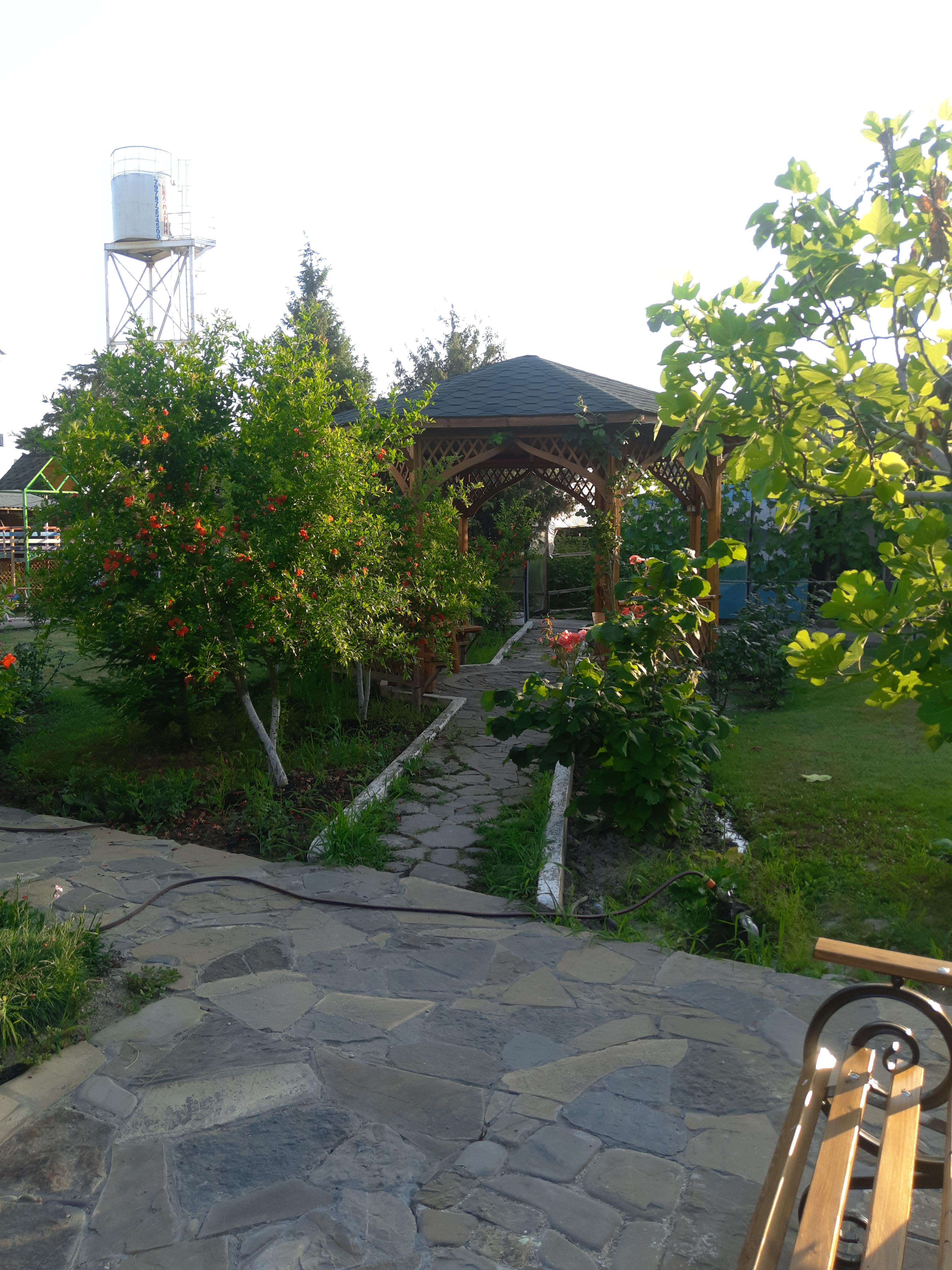 Фото Эльмаз