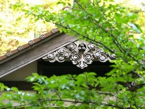 Гостиница Houshi