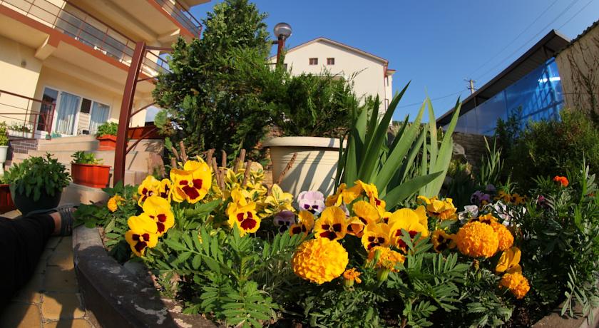 Фото Горный Воздух