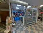 Biser (ulitsa Ulyanova, 58Б), art supplies and crafts