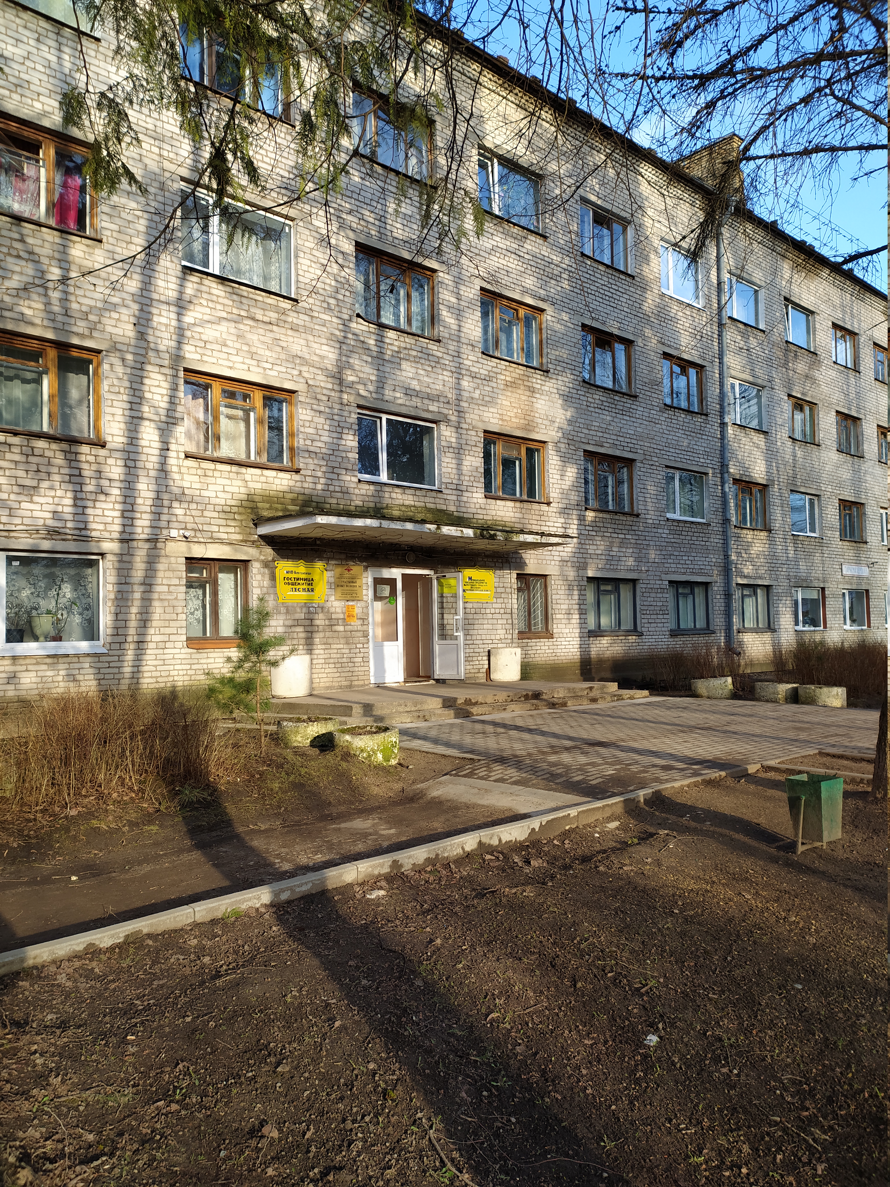 Фото Лесная