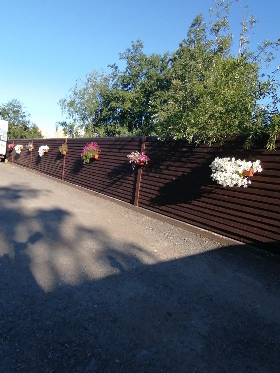 Фото Медвежка