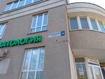 Antika (Oktyabrskiy Boulevard, 14), organization of events